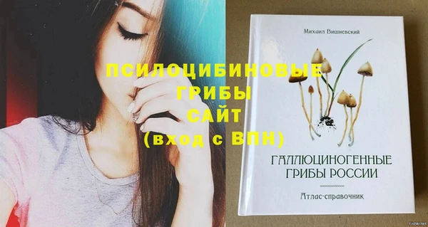 дживик Арсеньев