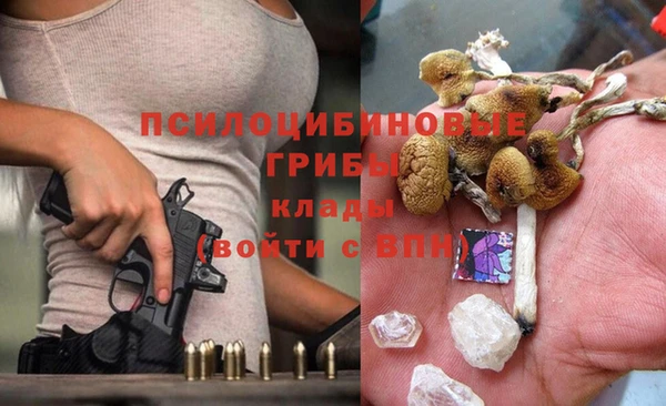 каннабис Аркадак