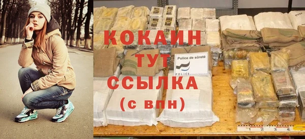 дживик Арсеньев