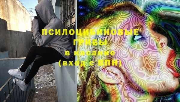 ГАЛЛЮЦИНОГЕННЫЕ ГРИБЫ Армянск