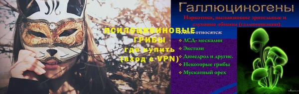 дживик Арсеньев